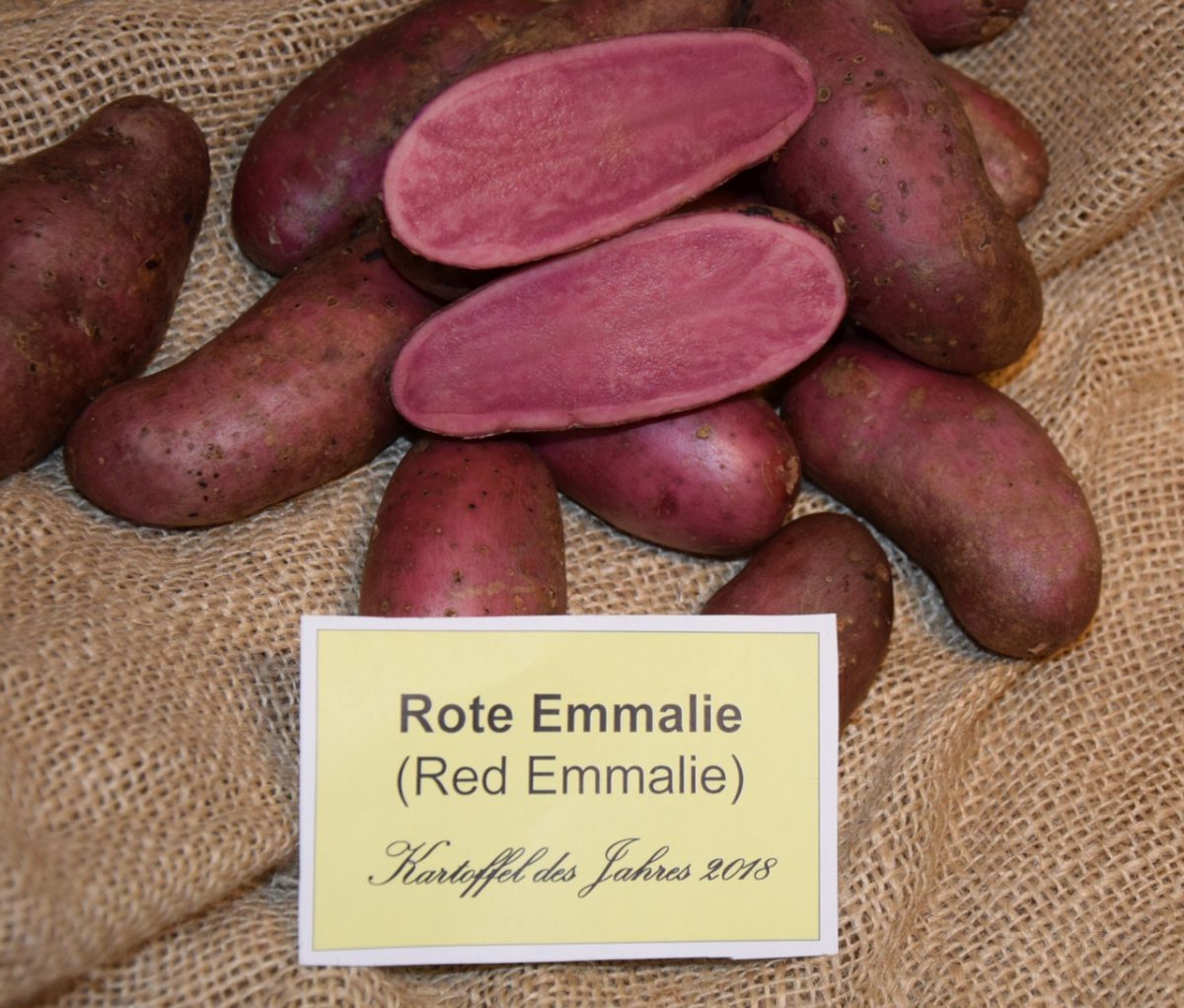 Kartoffel des Jahres 2018: „Rote Emmalie“